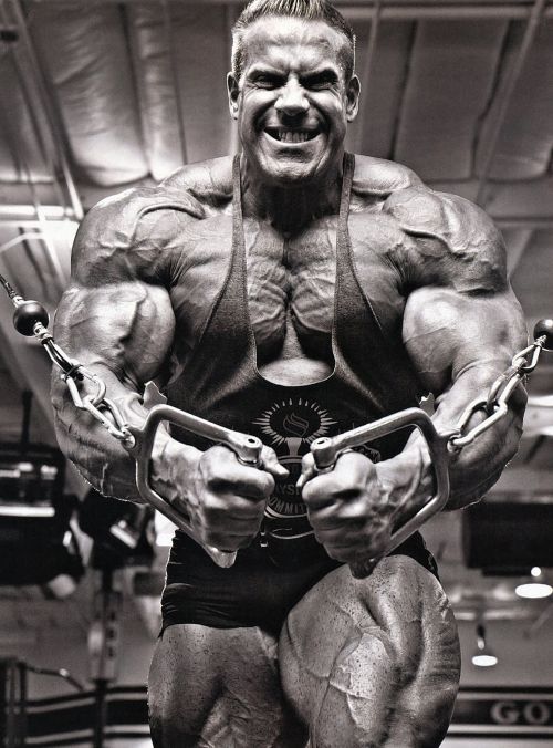 Image of Jay Cutler