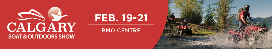 Show Banner